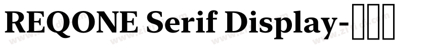 REQONE Serif Display字体转换 REQONE Serif Display字体转换